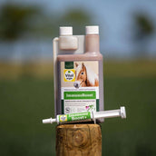 Vitalstyle ImmunoBoost+