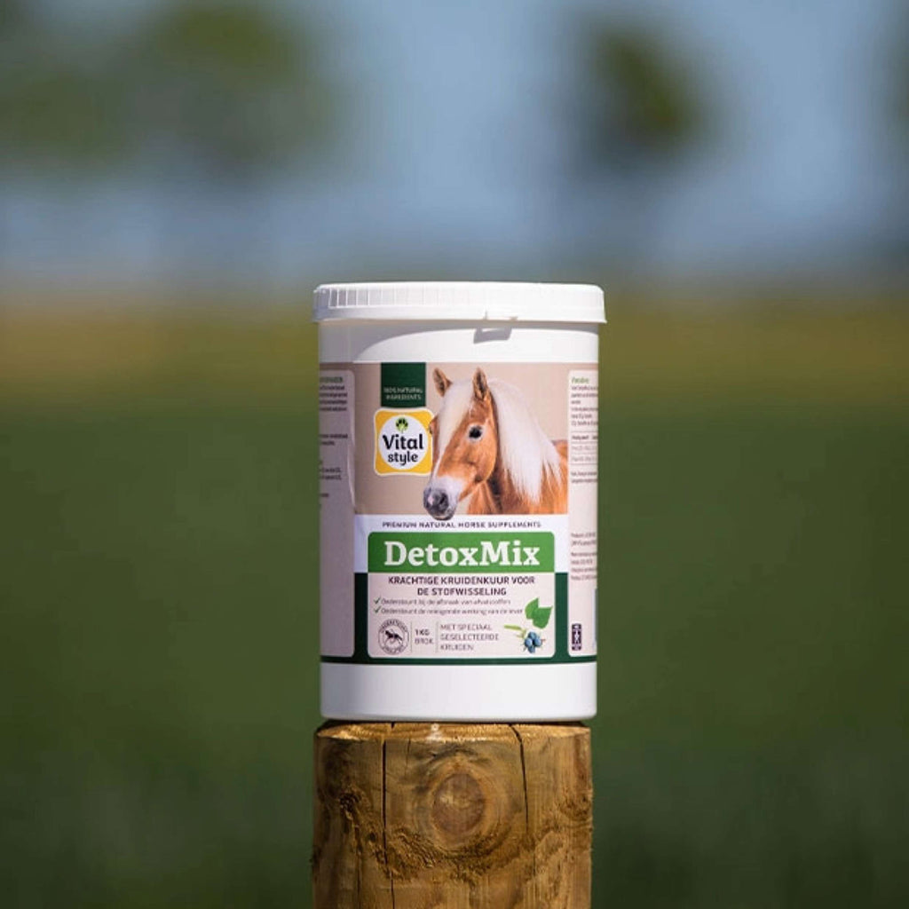 Vitalstyle DetoxMix