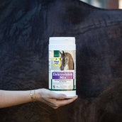 Vitalstyle Mélange d'Électrolytes Cheval