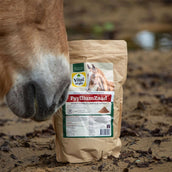 Vitalstyle Graine de psyllium
