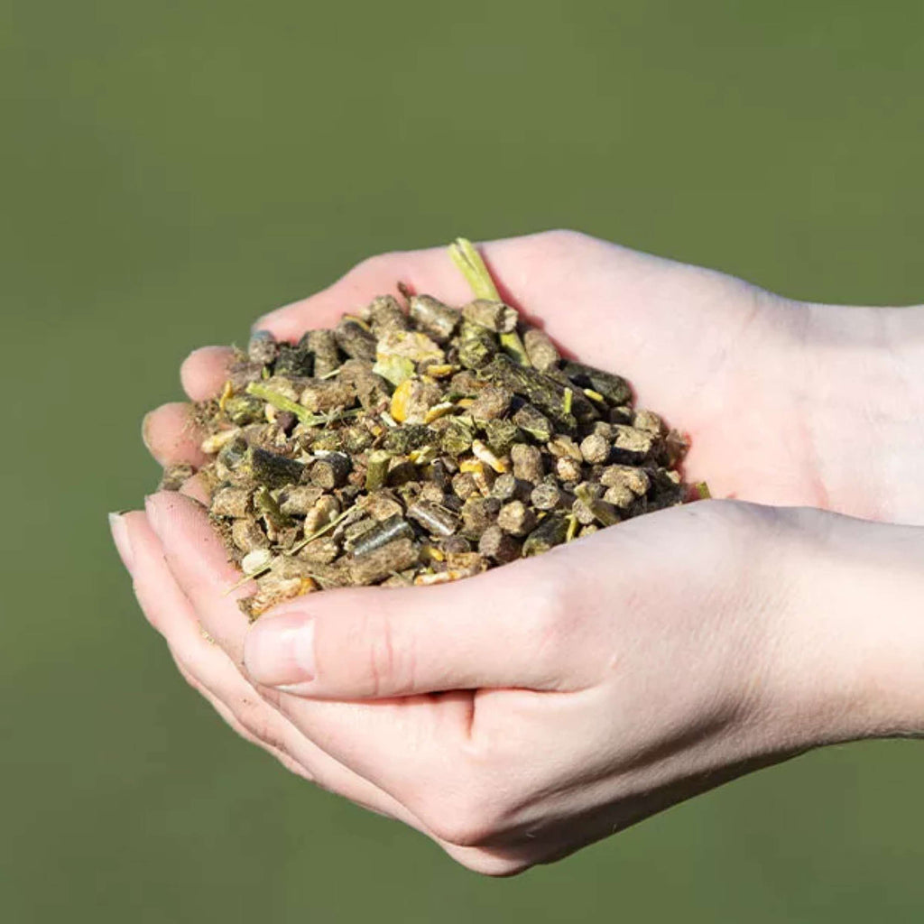 Vitalstyle Muesli Senior & Balance