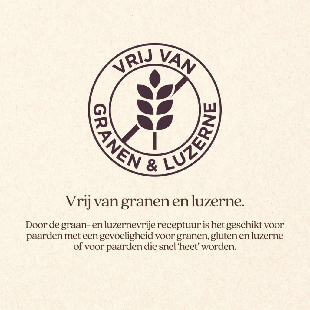 Vitalstyle SluesliMix