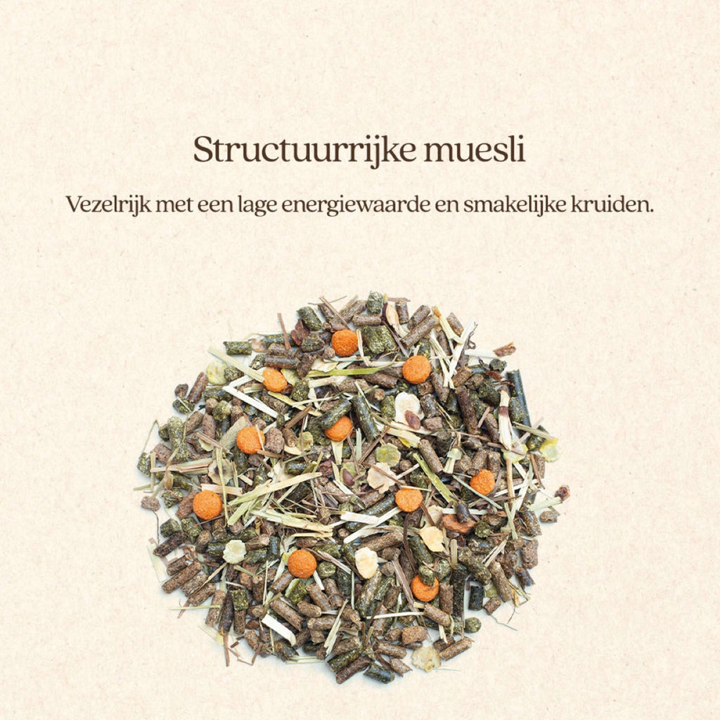 Vitalstyle SluesliMix