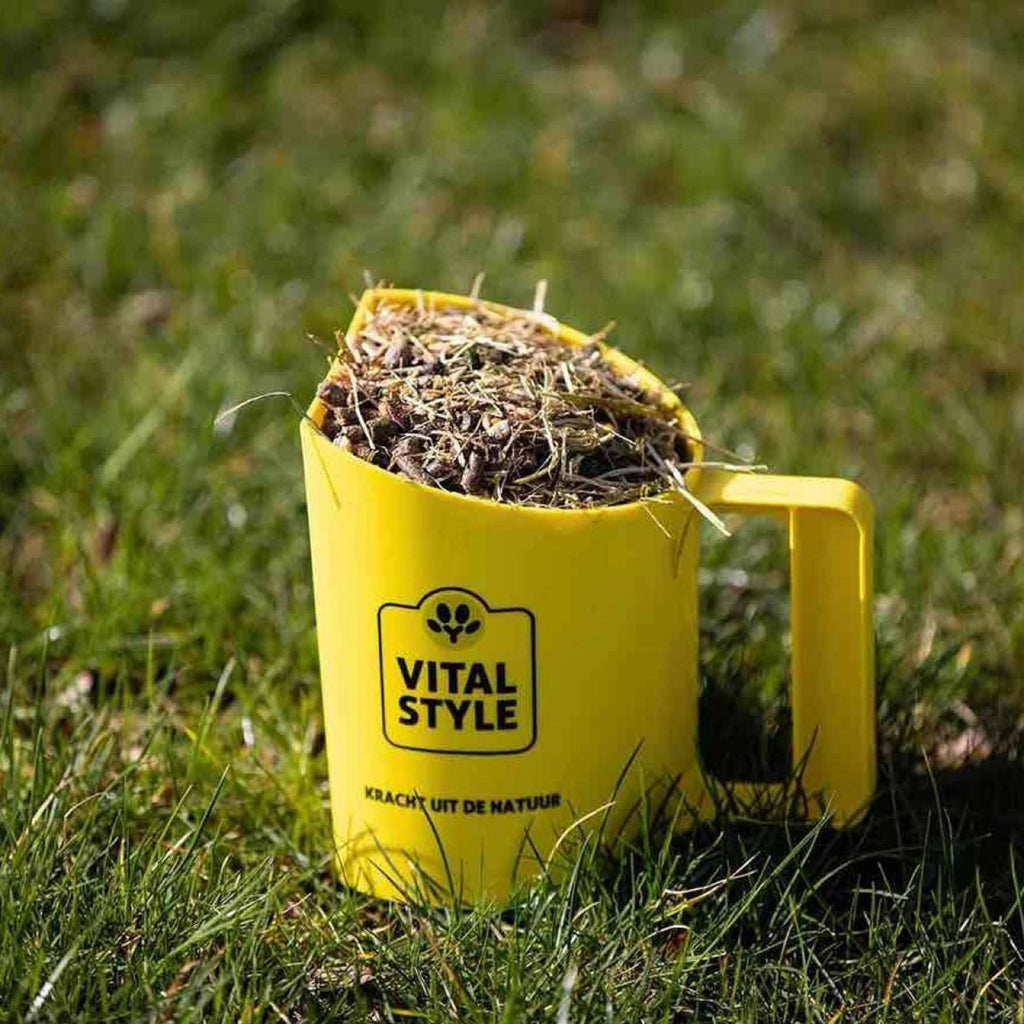 Vitalstyle Muesli Gut & Gastro