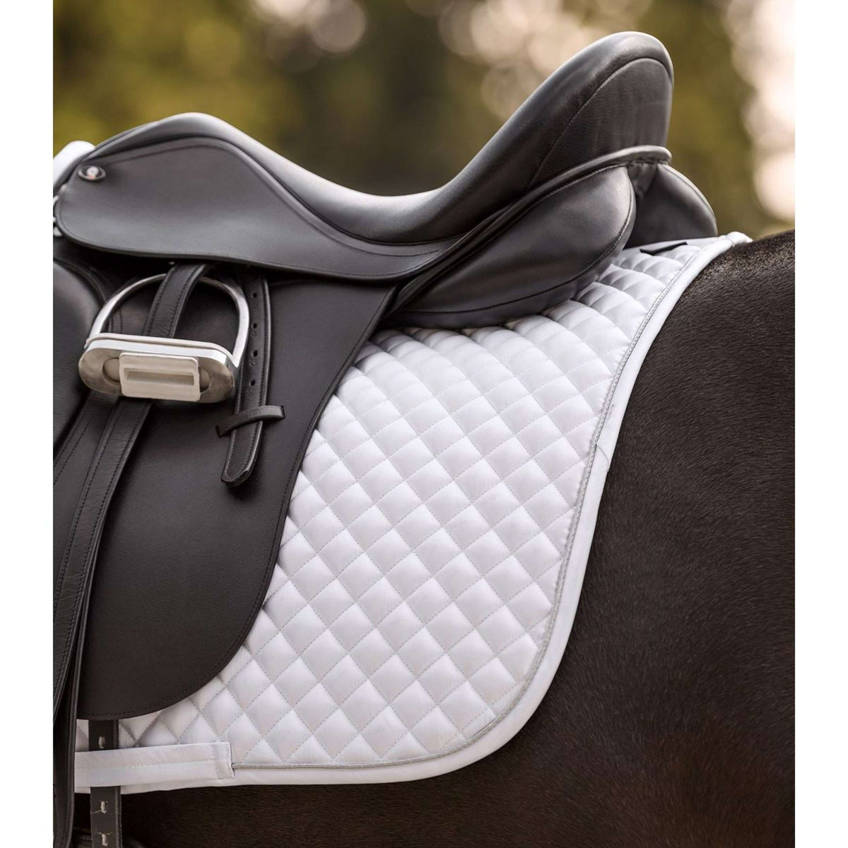 Waldhausen Tapis de Selle Felix Glam Polyvalent Blanc
