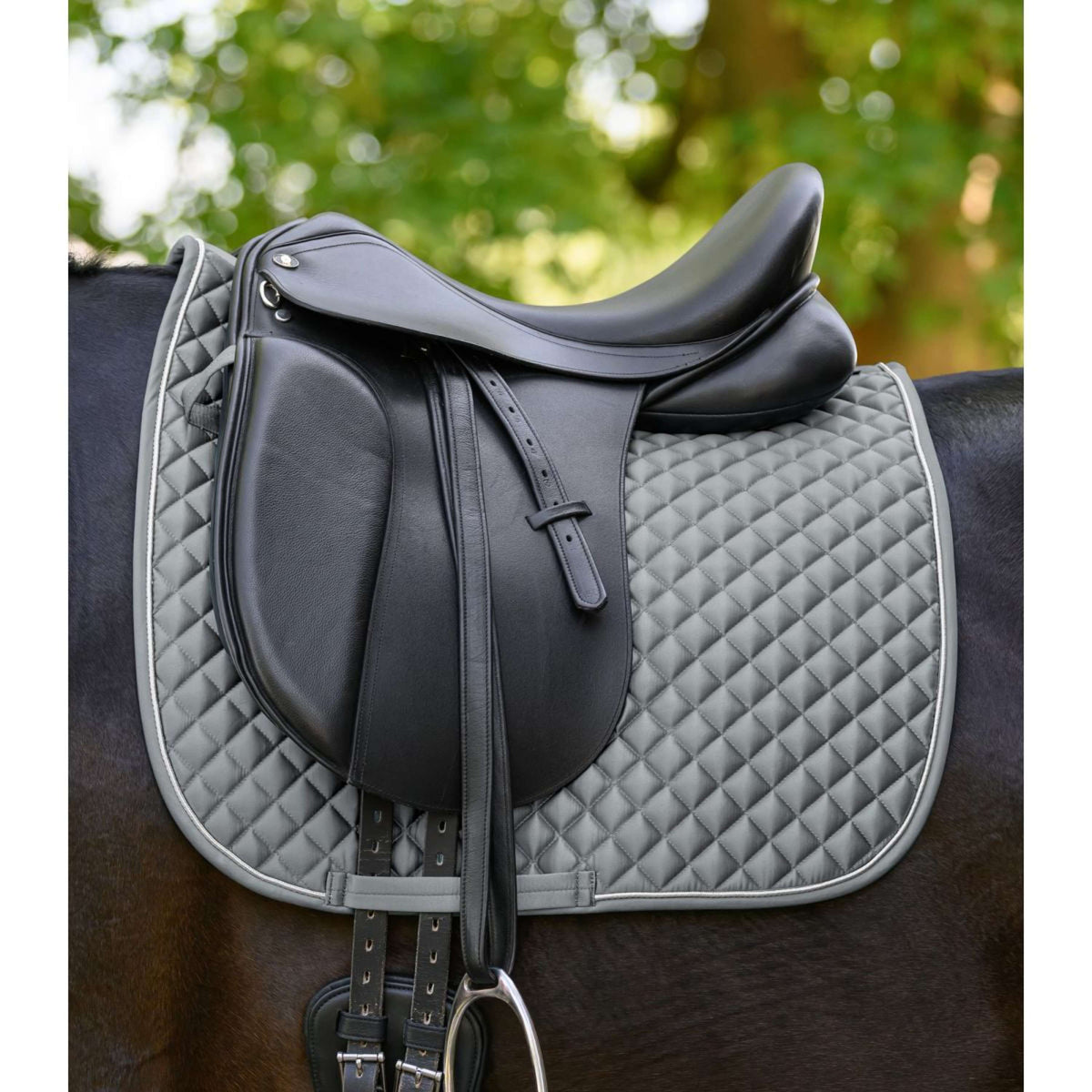 Waldhausen Tapis de Selle Felix Glam Dressage Chrome Grey