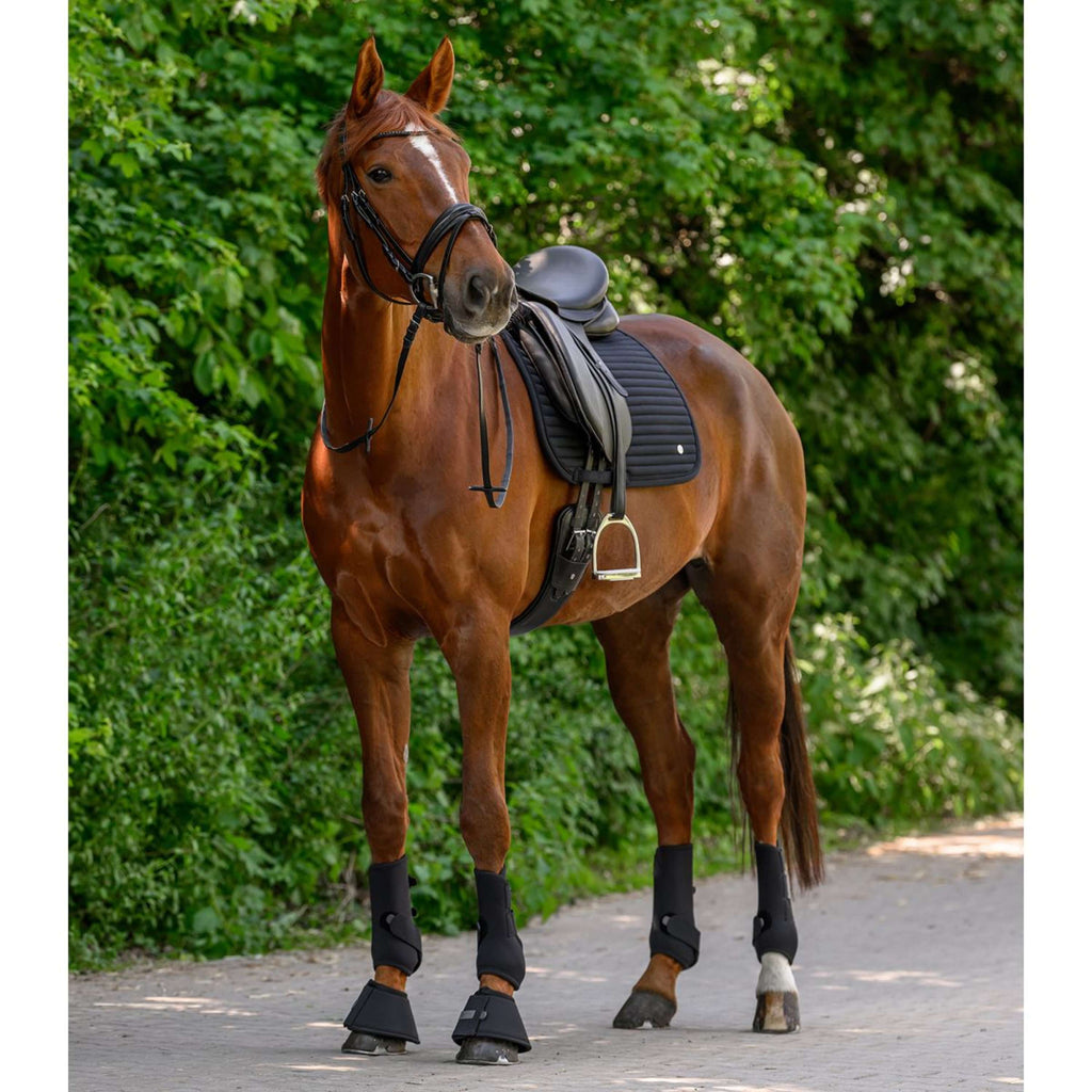 Waldhausen Tapis de Selle Trinidad Dressage Noir
