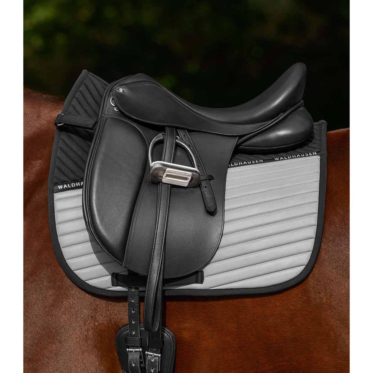 Waldhausen Tapis de Selle Reflex Dressage Gris Argent