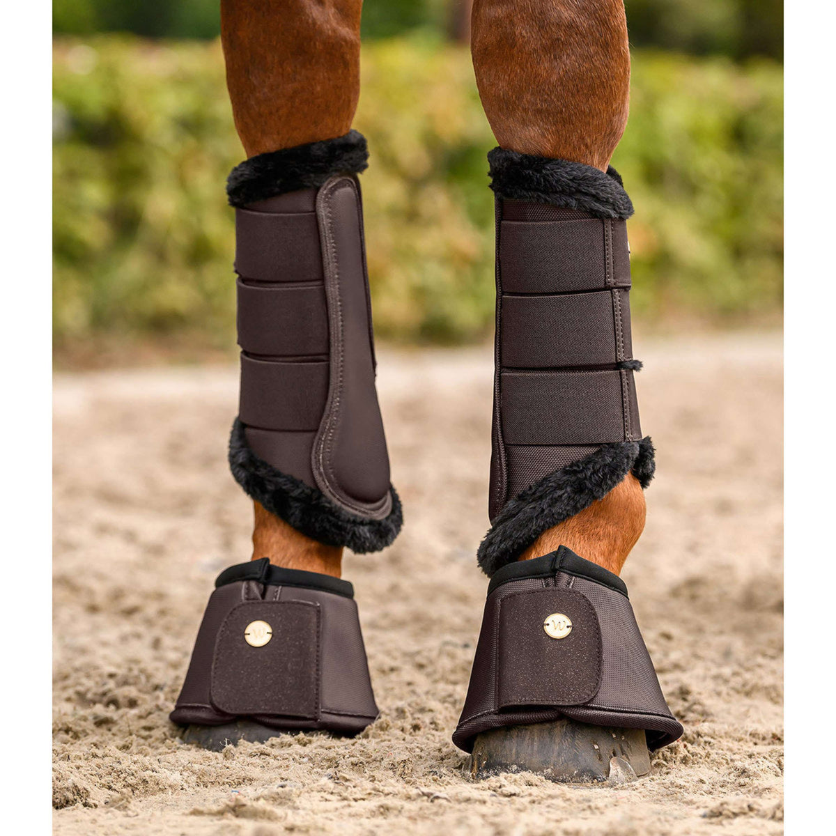 Waldhausen Dressage Boots Phoenix Espresso