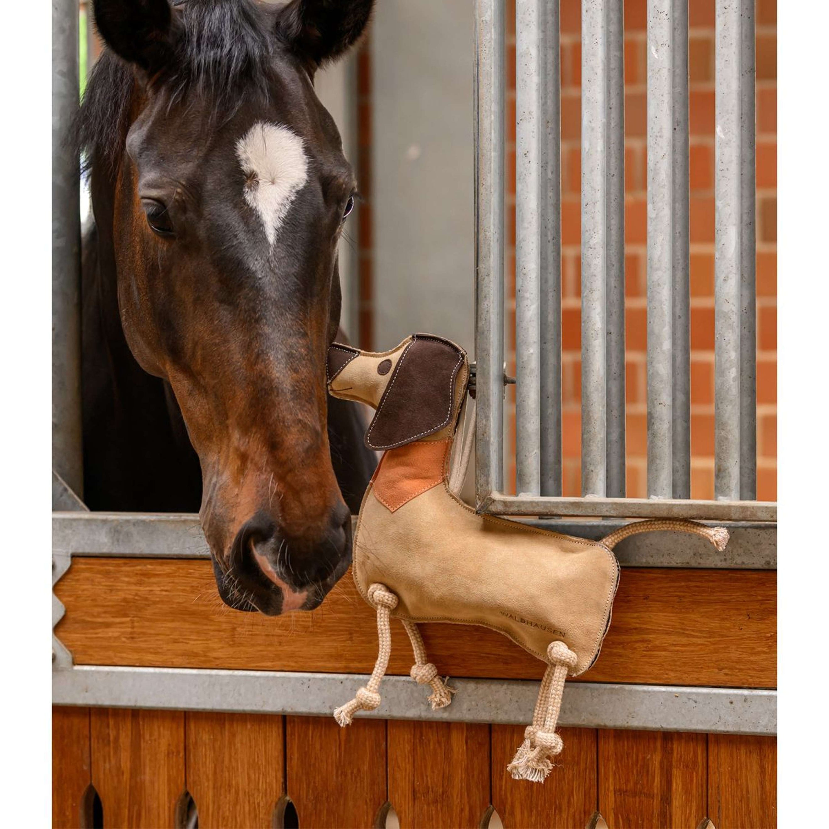 Waldhausen Jouet Dachshund Dieter Waldhausen Jouet Dachshund Dieter