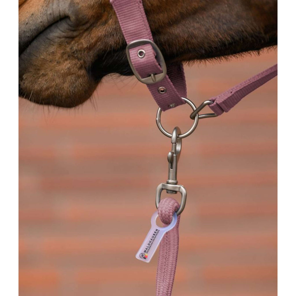Waldhausen Ensemble Licol Velvet Dusky Pink