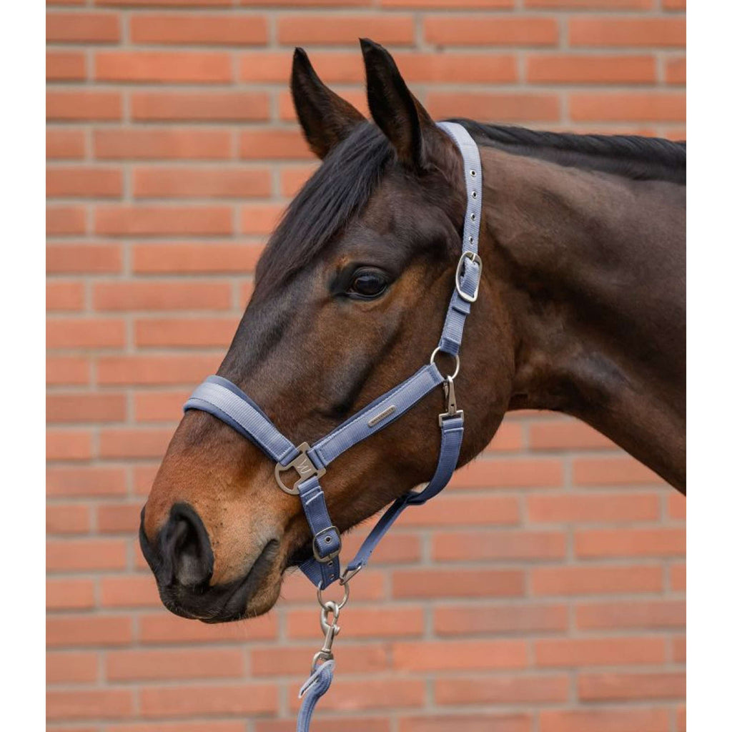 Waldhausen Ensemble Licol Velvet Bleu Océan
