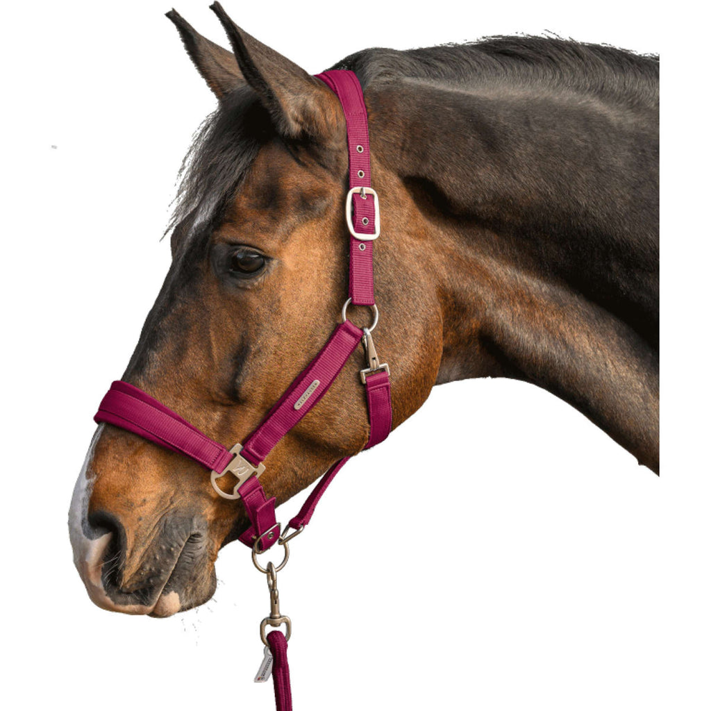 Waldhausen Ensemble Licol Velvet Pomegranate