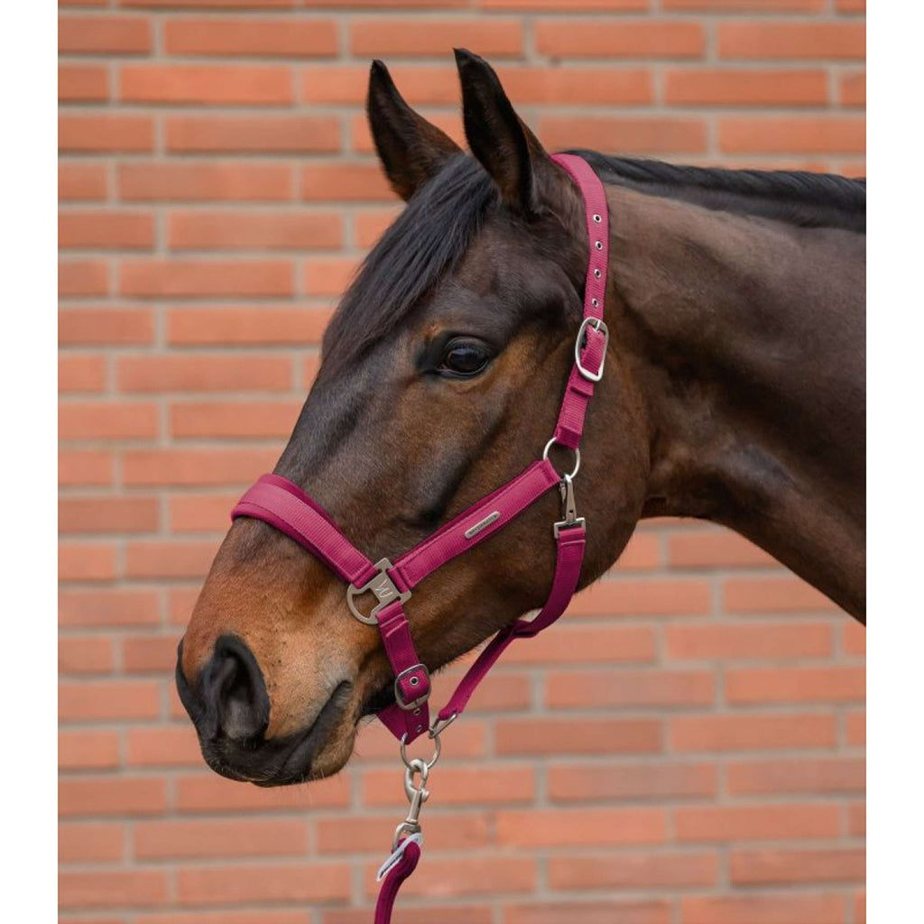 Waldhausen Ensemble Licol Velvet Pomegranate