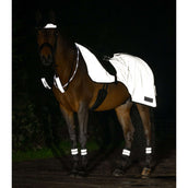 Waldhausen Couvre-reins Reflex Argent Gris