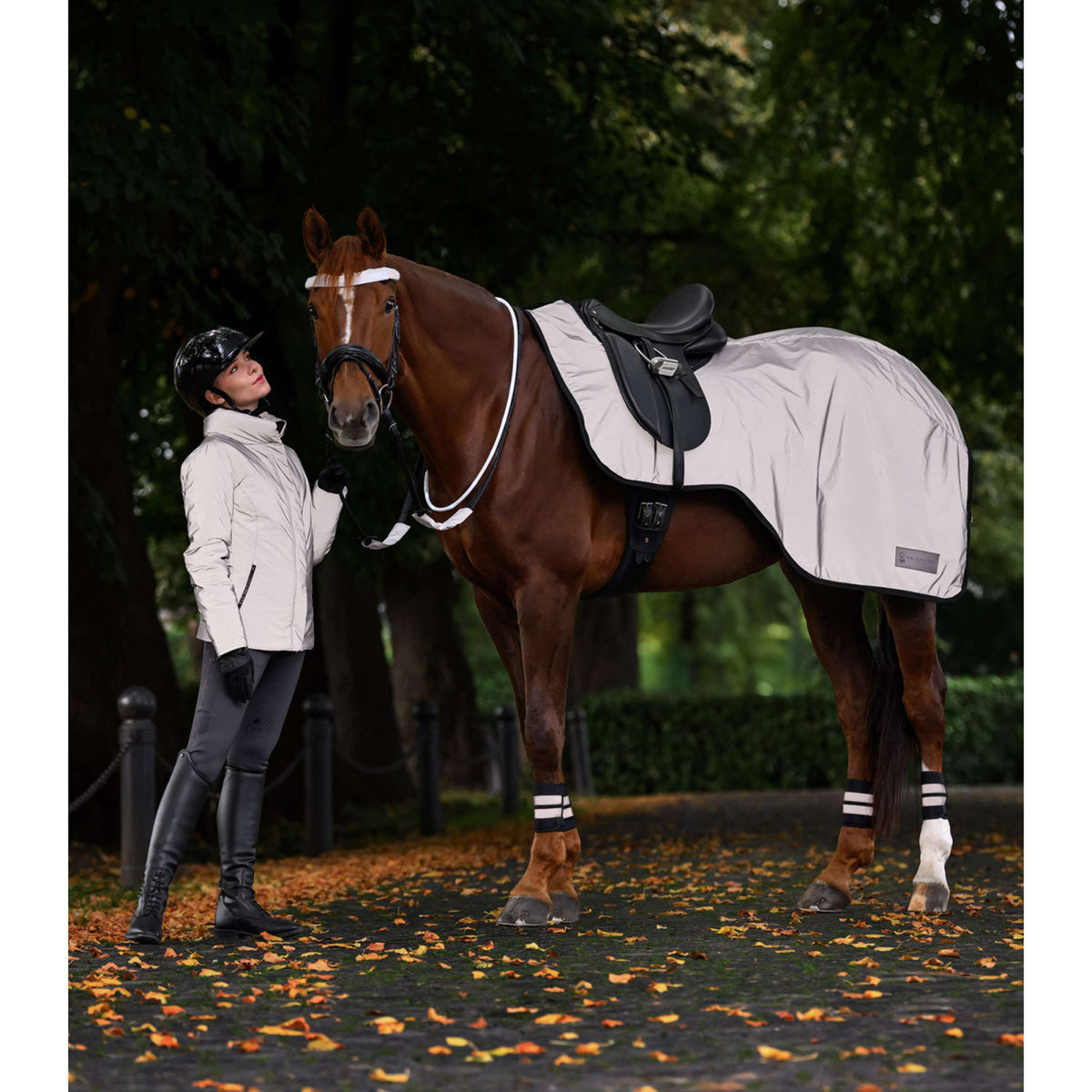 Waldhausen Couvre-reins Reflex Argent Gris