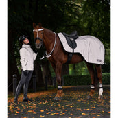 Waldhausen Couvre-reins Reflex Argent Gris