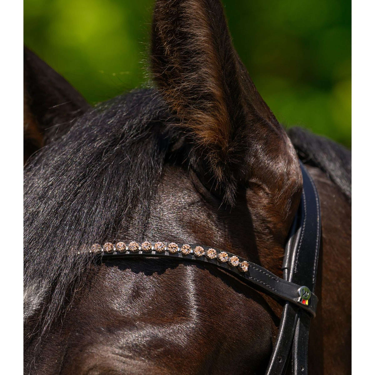 Waldhausen Frontal X-Line Glam Noir Pêche