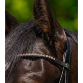 Waldhausen Frontal X-Line Glam Noir Pêche