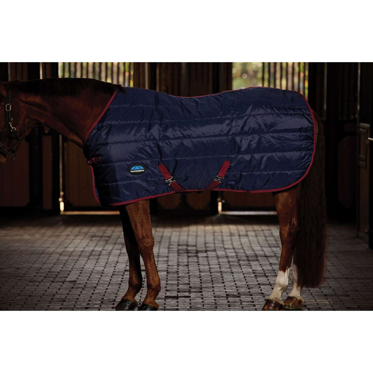 WeatherBeeta Couverture d'Écurie ComFiTec 210D Channel Quilt Standard Neck 100g Marine/Bordeaux