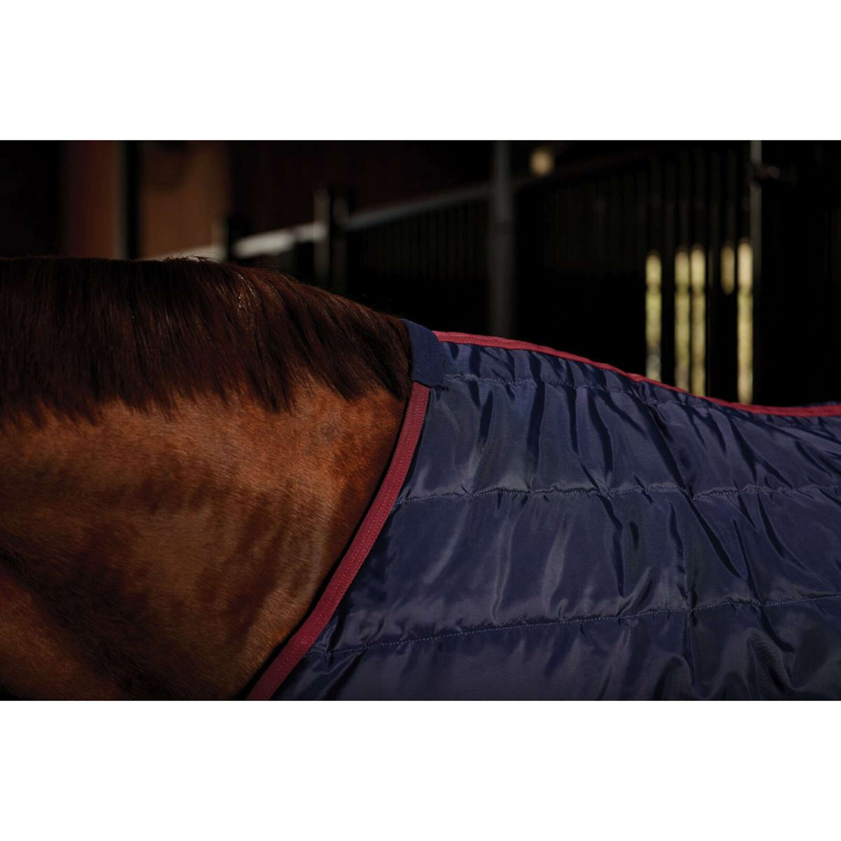 WeatherBeeta Couverture d'Écurie ComFiTec 210D Channel Quilt Standard Neck 100g Marine/Bordeaux