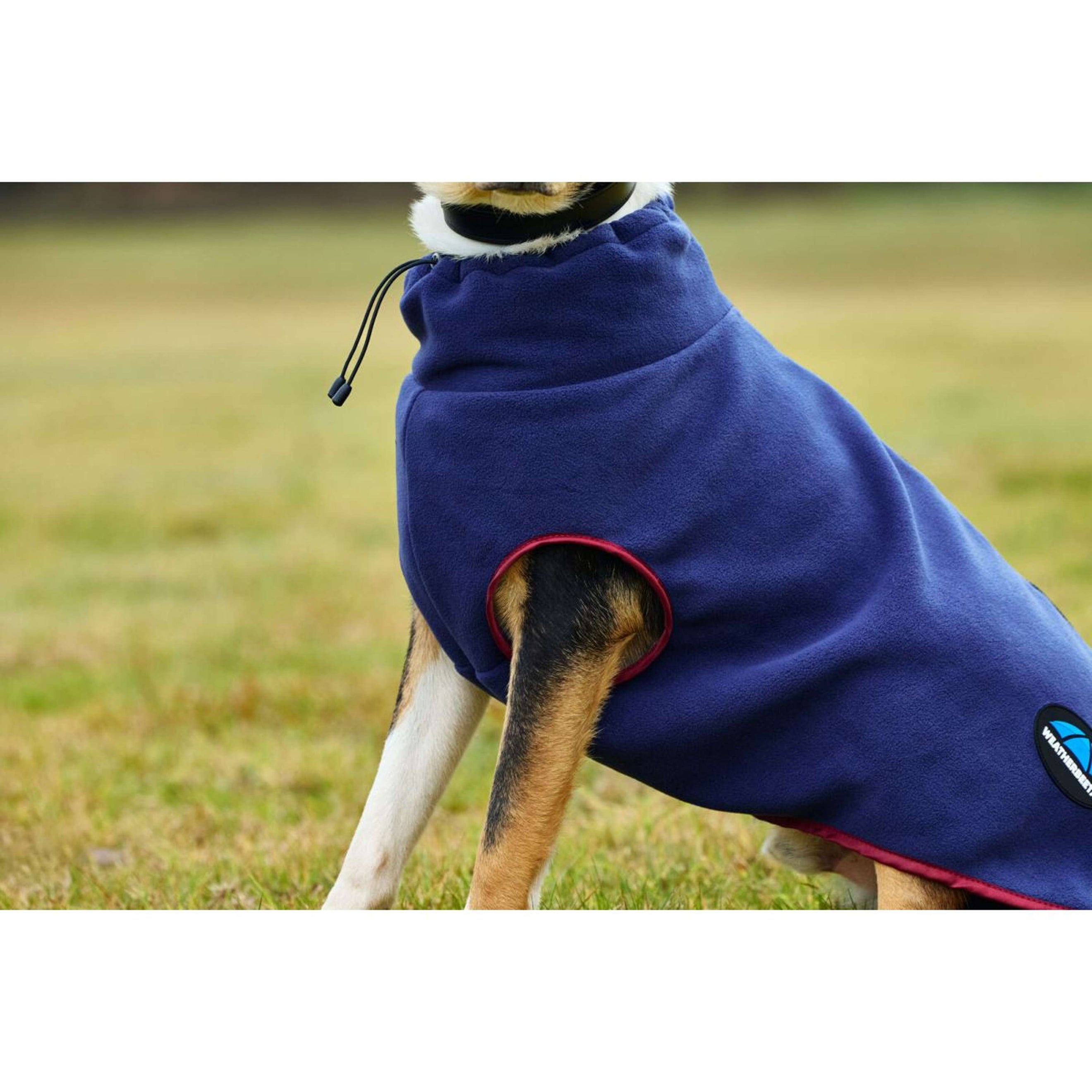 WeatherBeeta Couverture pour Chien ComFiTec Fleece Zip Marine/Bordeaux WeatherBeeta Couverture pour Chien ComFiTec Fleece Zip Marine/Bordeaux