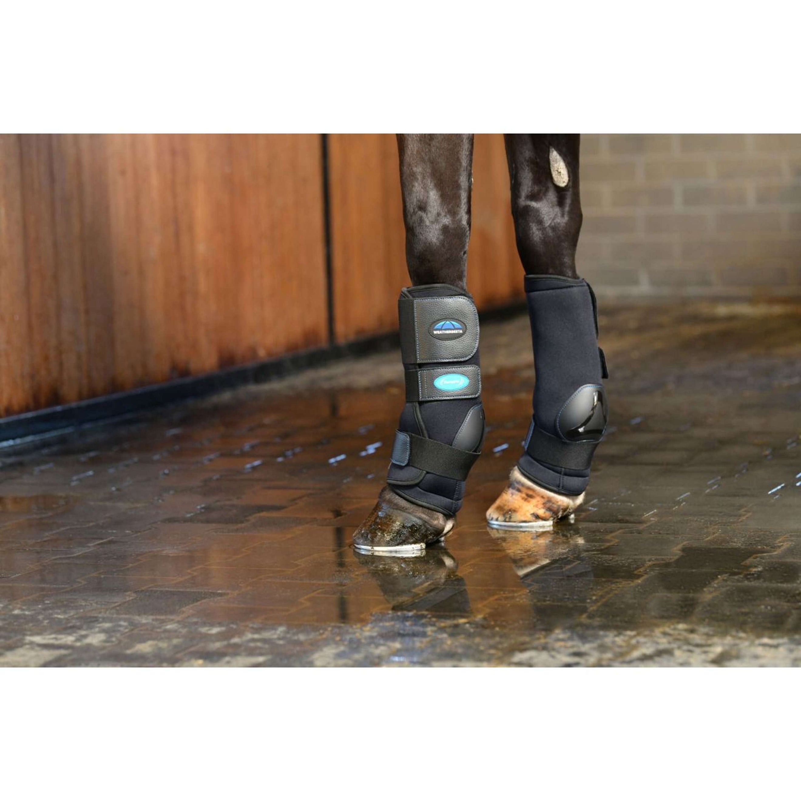 WeatherBeeta Ice Boots Therapy-Tec II Ultra Cool Noir WeatherBeeta Ice Boots Therapy-Tec II Ultra Cool Noir