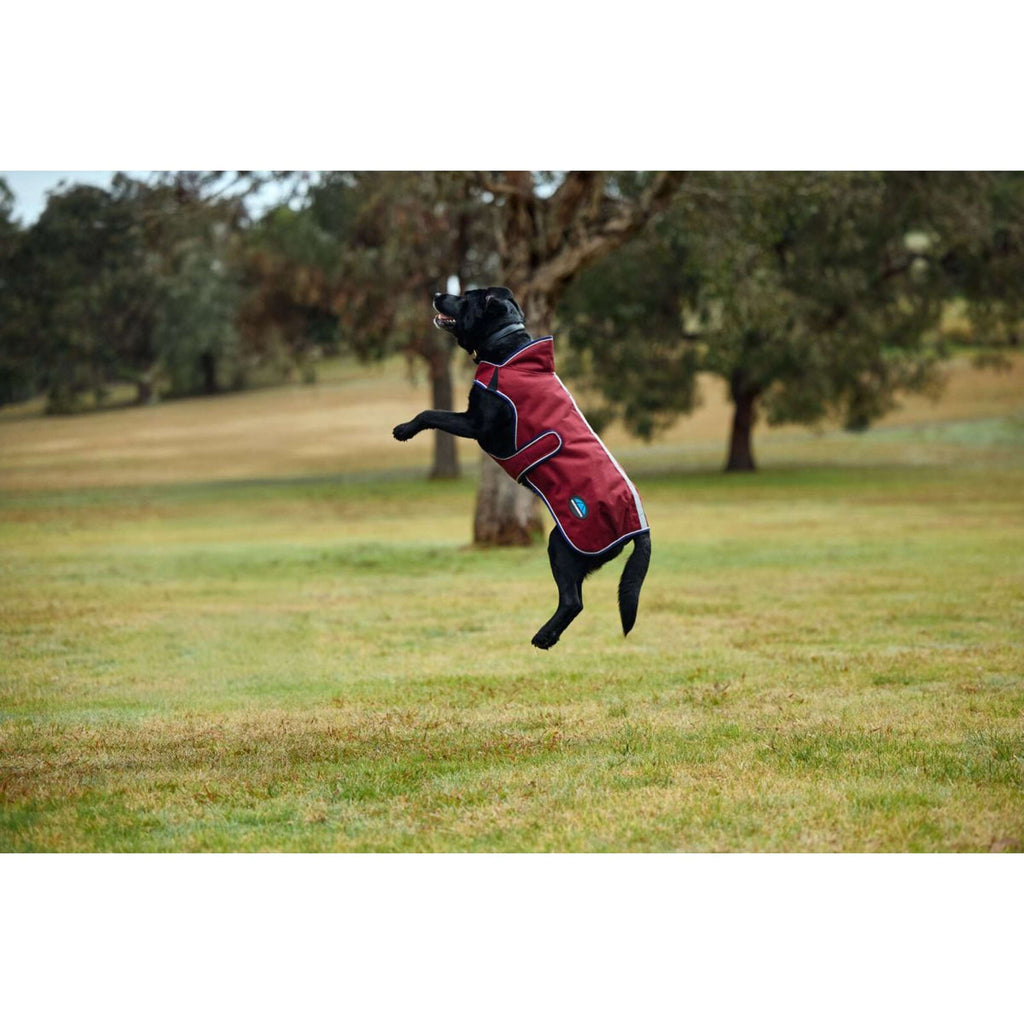 WeatherBeeta Couverture pour Chien ComFiTec Premier Deluxe Waterproof Bourgogne/Marine