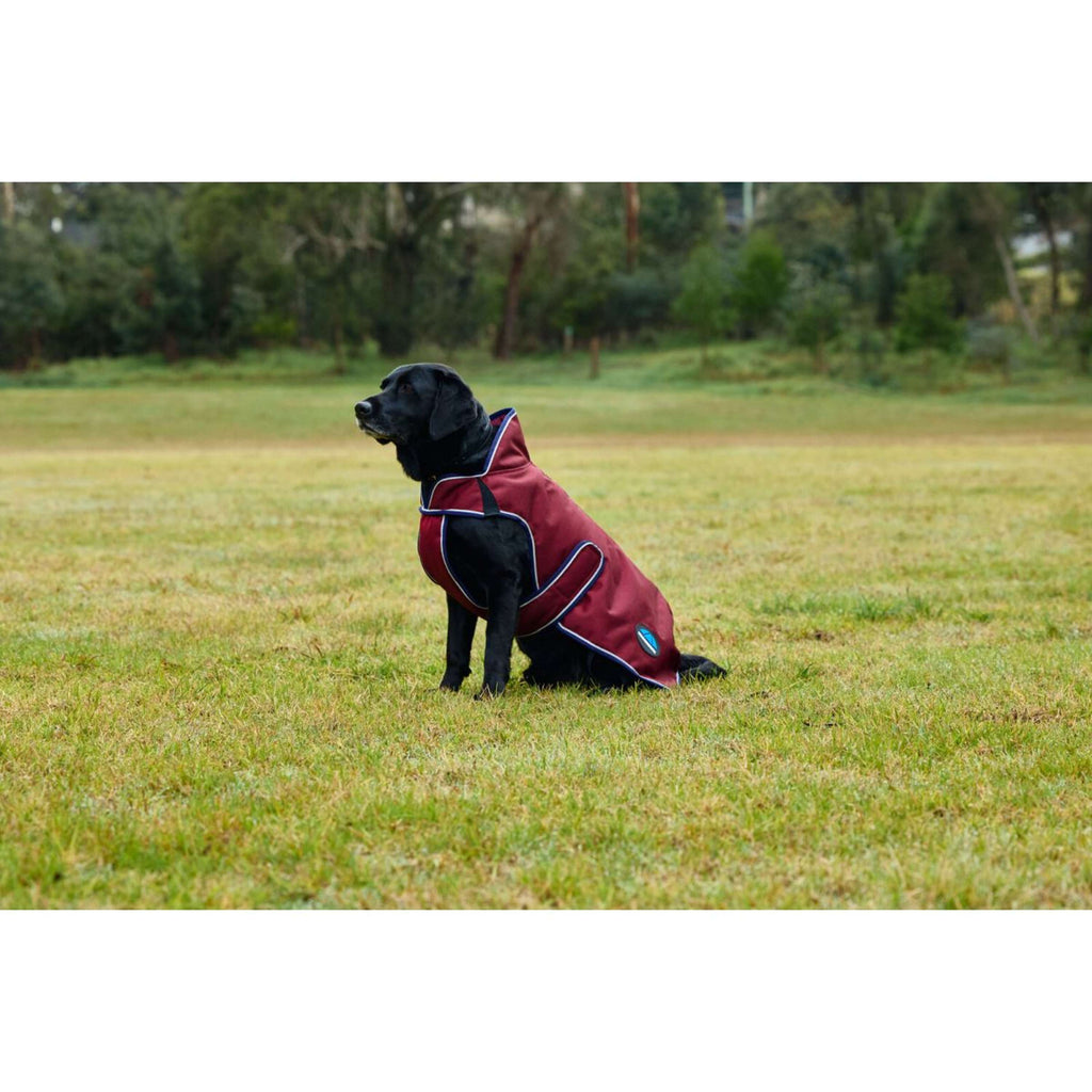 WeatherBeeta Couverture pour Chien ComFiTec Premier Deluxe Waterproof Bourgogne/Marine
