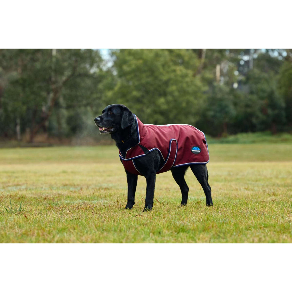 WeatherBeeta Couverture pour Chien ComFiTec Premier Deluxe Waterproof Bourgogne/Marine