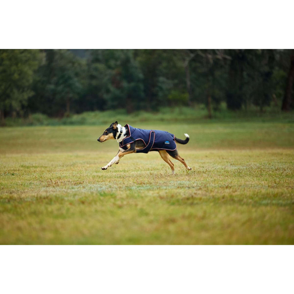 WeatherBeeta Couverture pour Chien ComFiTec Premier Deluxe Waterproof Marine/Bordeaux