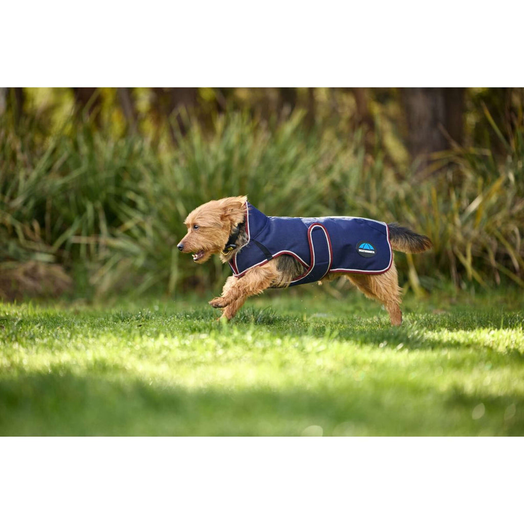 WeatherBeeta Couverture pour Chien ComFiTec Premier Deluxe Waterproof Marine/Bordeaux