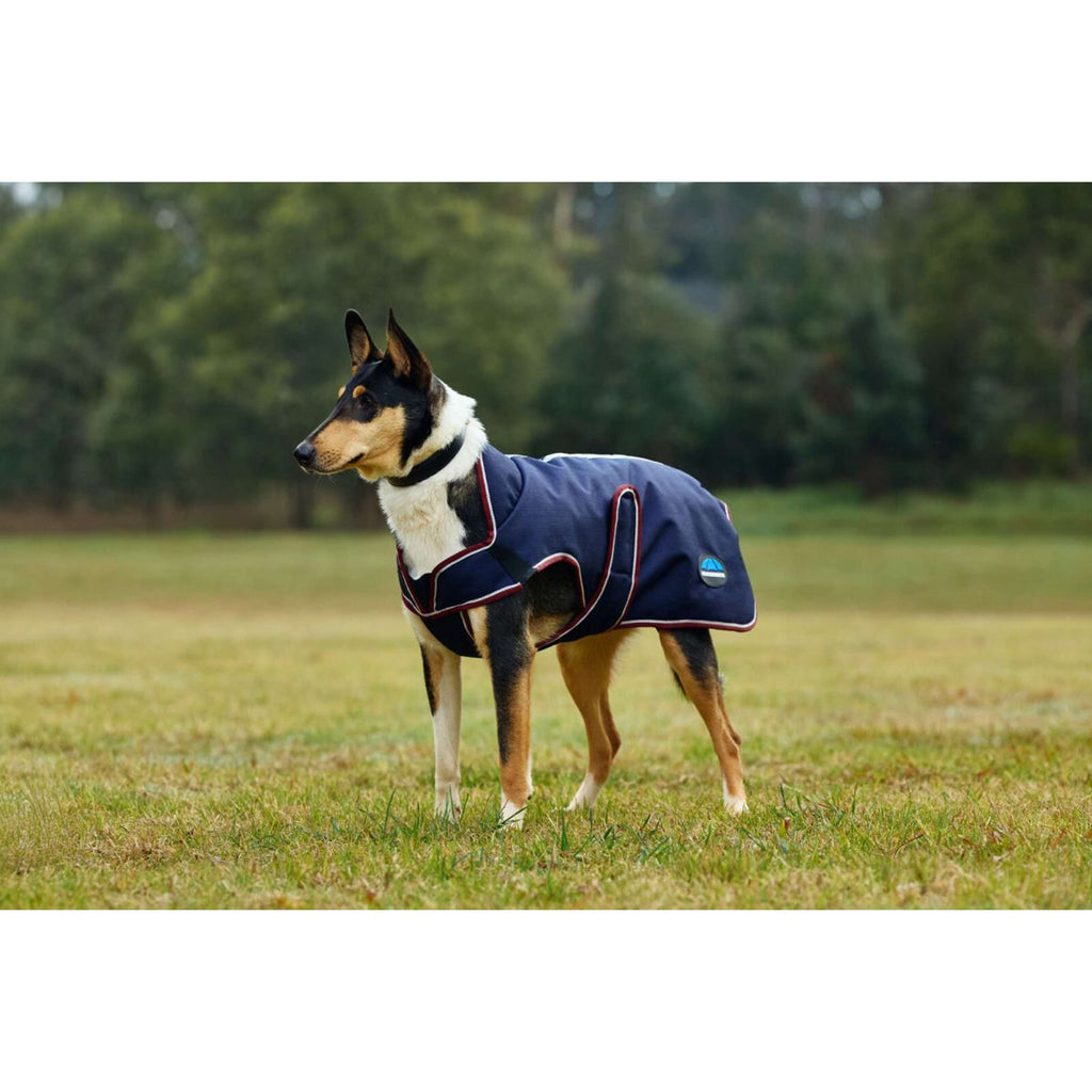 WeatherBeeta Couverture pour Chien ComFiTec Premier Deluxe Waterproof Marine/Bordeaux