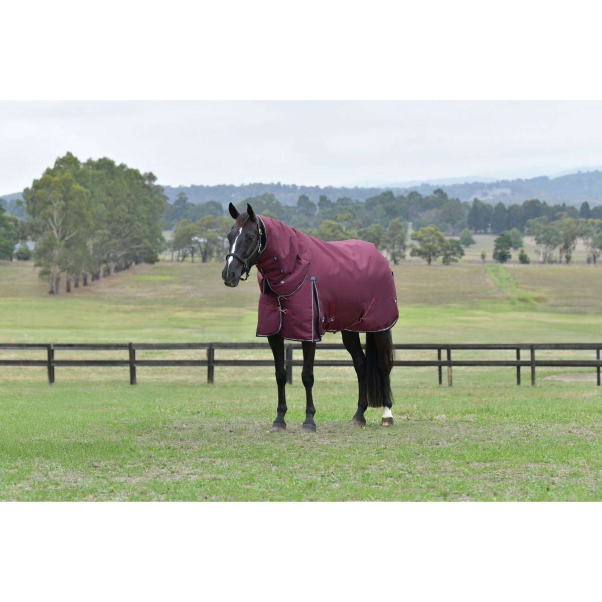 WeatherBeeta ComFiTec Essential Turnout Detach-A-Neck 220g Bourgogne/Marine