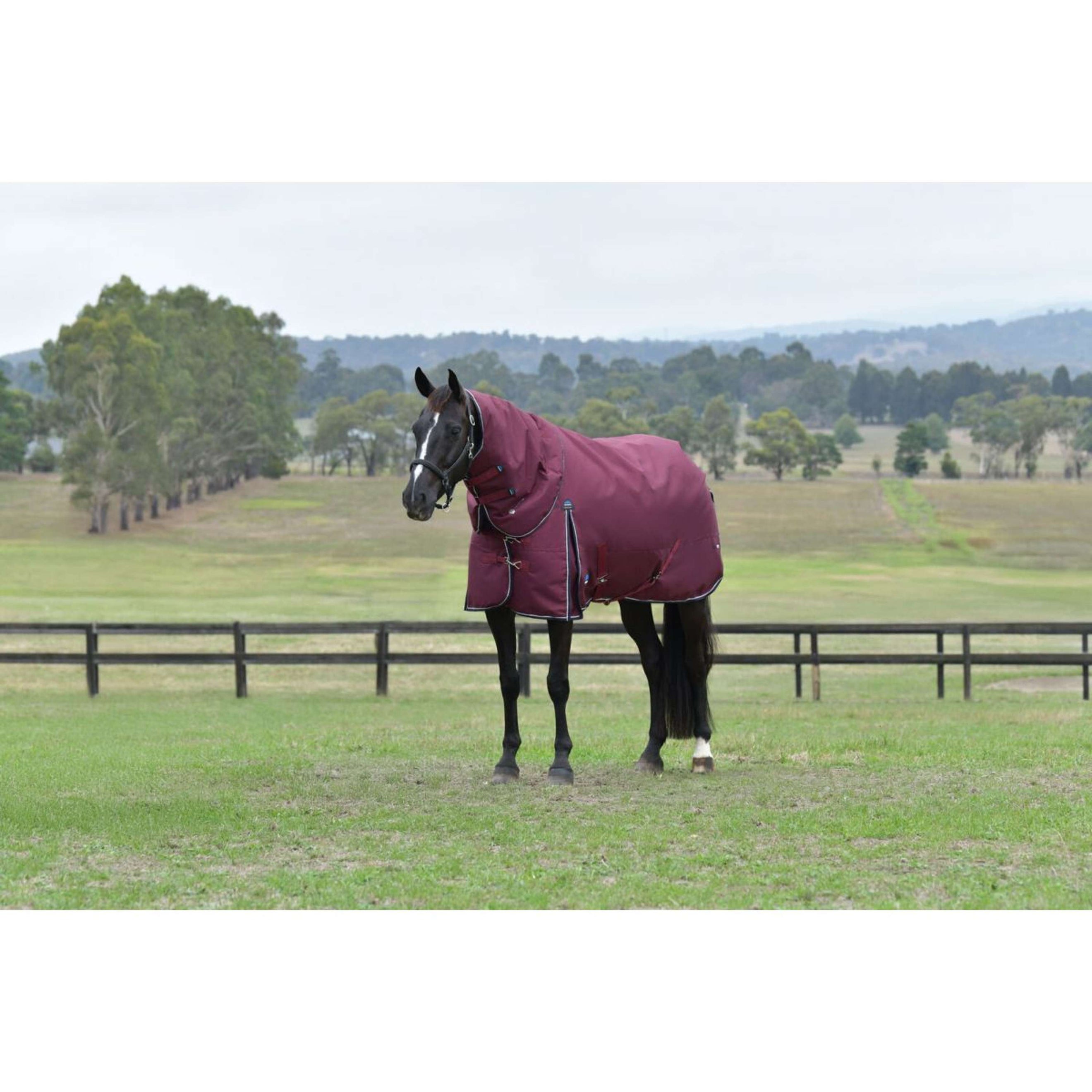 WeatherBeeta ComFiTec Essential Turnout Detach-A-Neck 220g Bourgogne/Marine