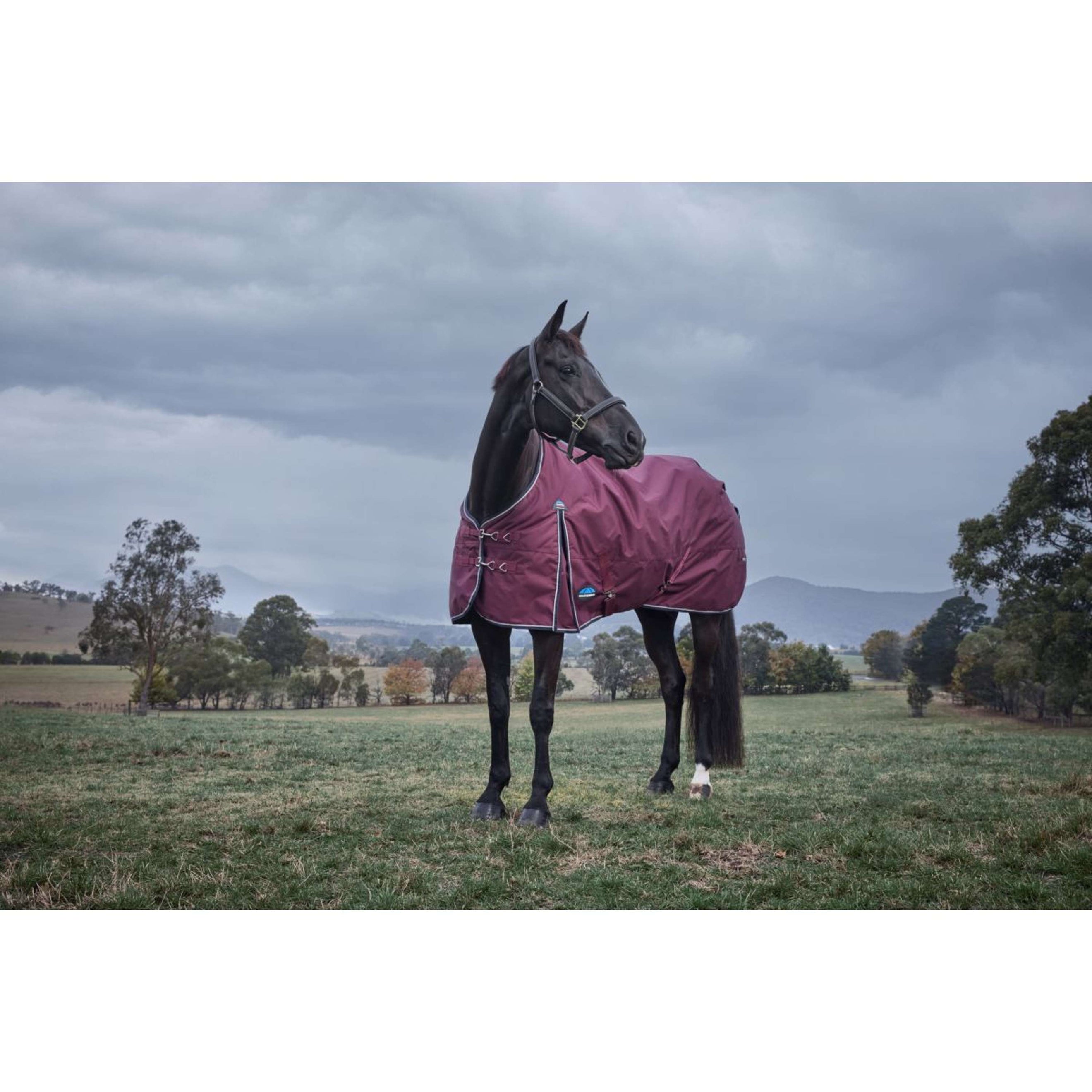 WeatherBeeta ComFiTec Essential Turnout 220g Bourgogne/Marine WeatherBeeta ComFiTec Essential Turnout 220g Bourgogne/Marine