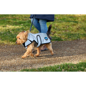 WeatherBeeta Couverture pour Chien ComFiTec Reflective Showerproof Argent