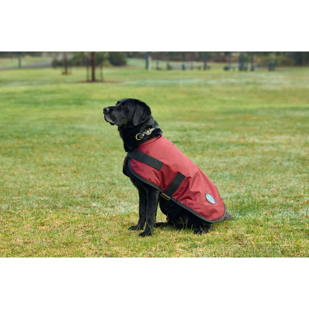 WeatherBeeta Couverture pour Chien ComFiTec Classic Waterproof Bordeaux