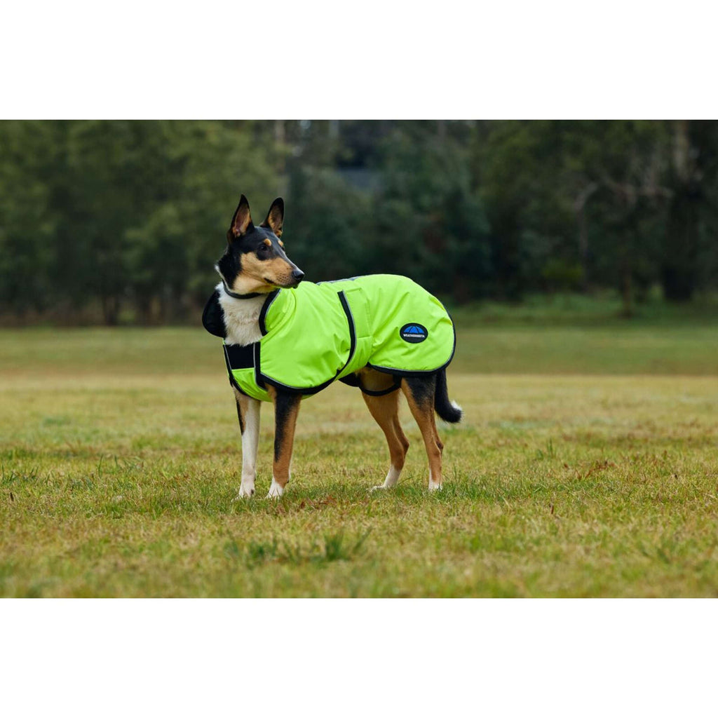 WeatherBeeta Couverture pour Chien ComFiTec Reflective 300D Deluxe Showerproof Jaune