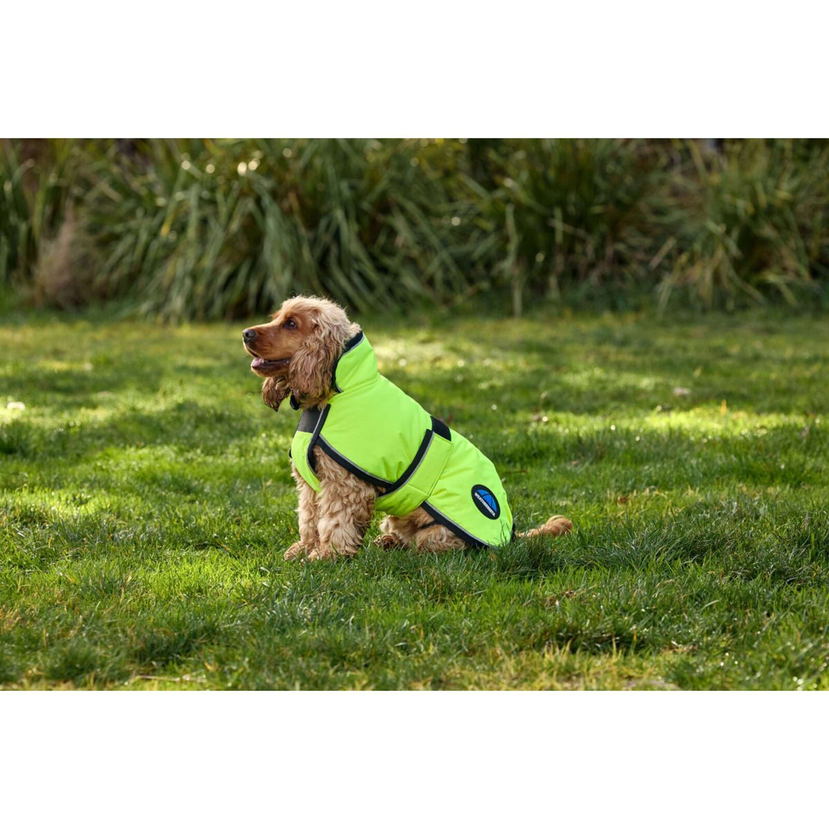 WeatherBeeta Couverture pour Chien ComFiTec Reflective 300D Deluxe Showerproof Jaune