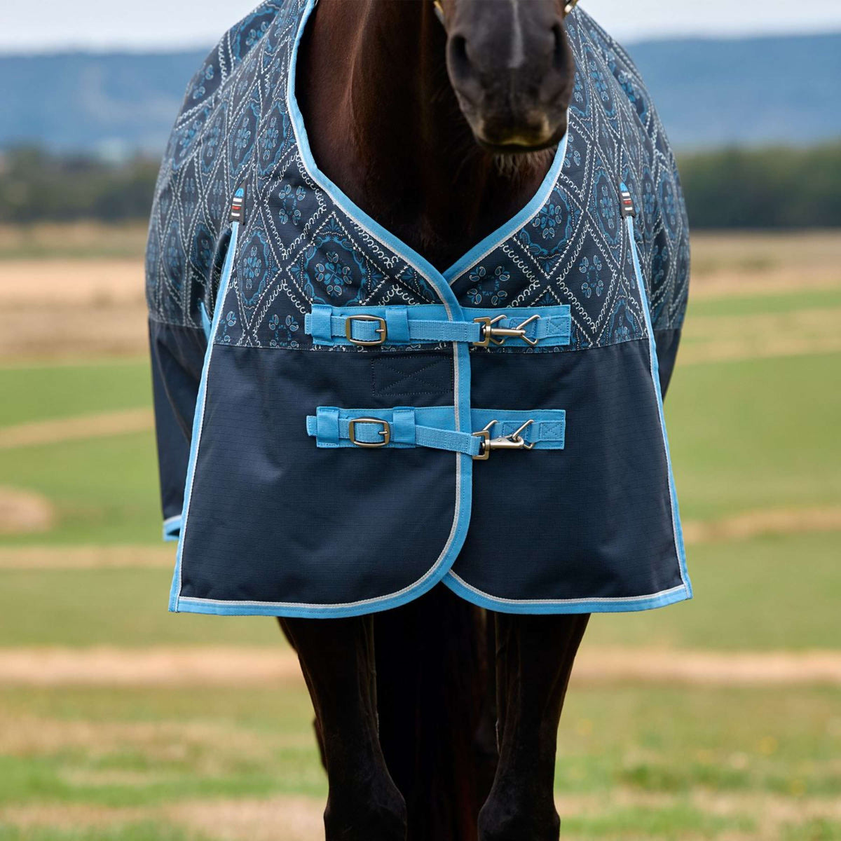 WeatherBeeta ComFiTec Heritage Turnout 220g Paisley Print