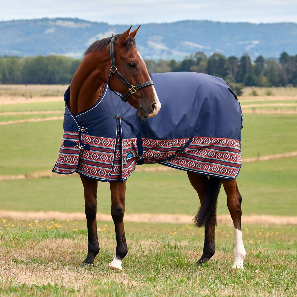 WeatherBeeta ComFiTec Legend Turnout 220g AZ-Tech