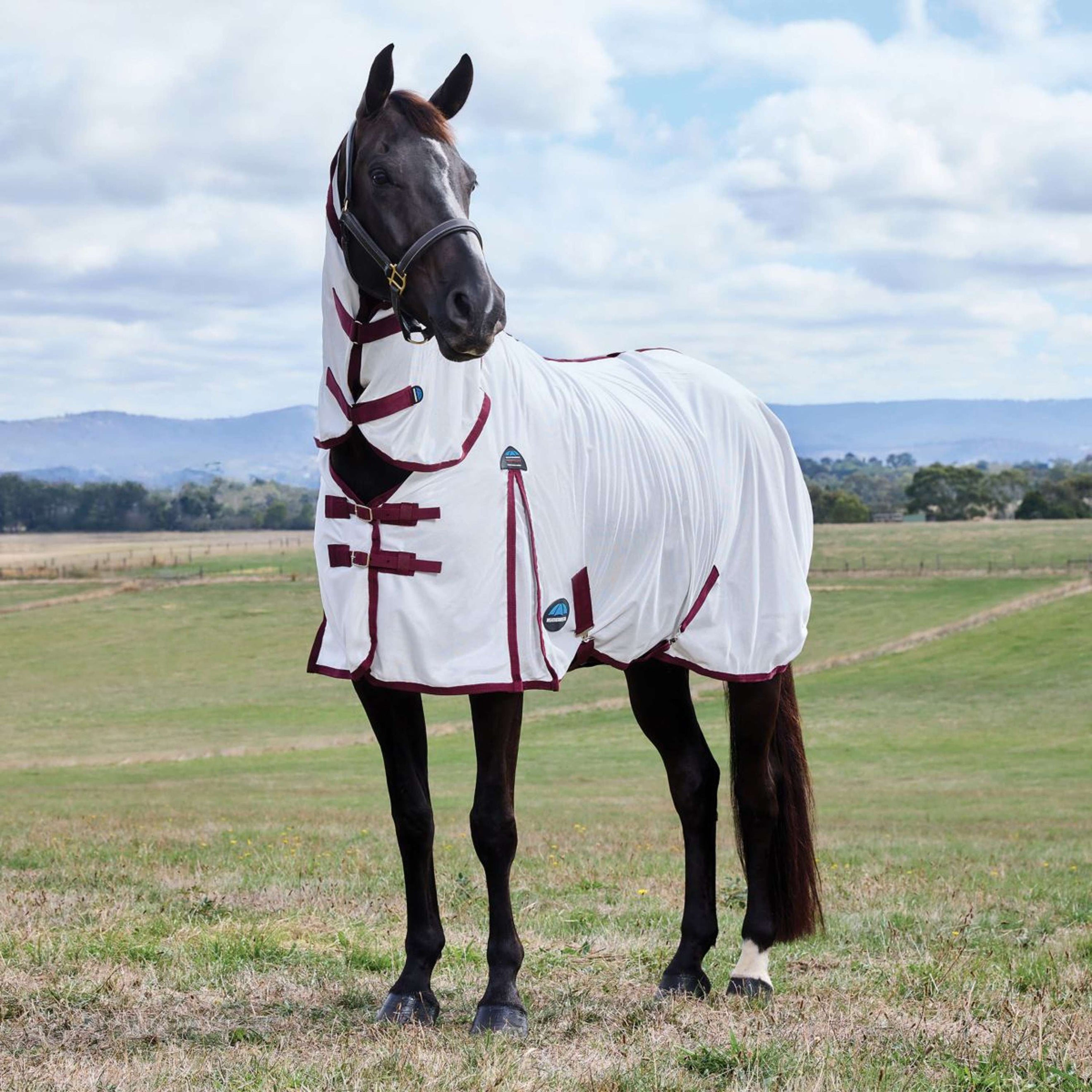 WeatherBeeta Couverture Anti-Mouches ComFiTec Essential Combo Blanc/Bordeaux WeatherBeeta Couverture Anti-Mouches ComFiTec Essential Combo Blanc/Bordeaux