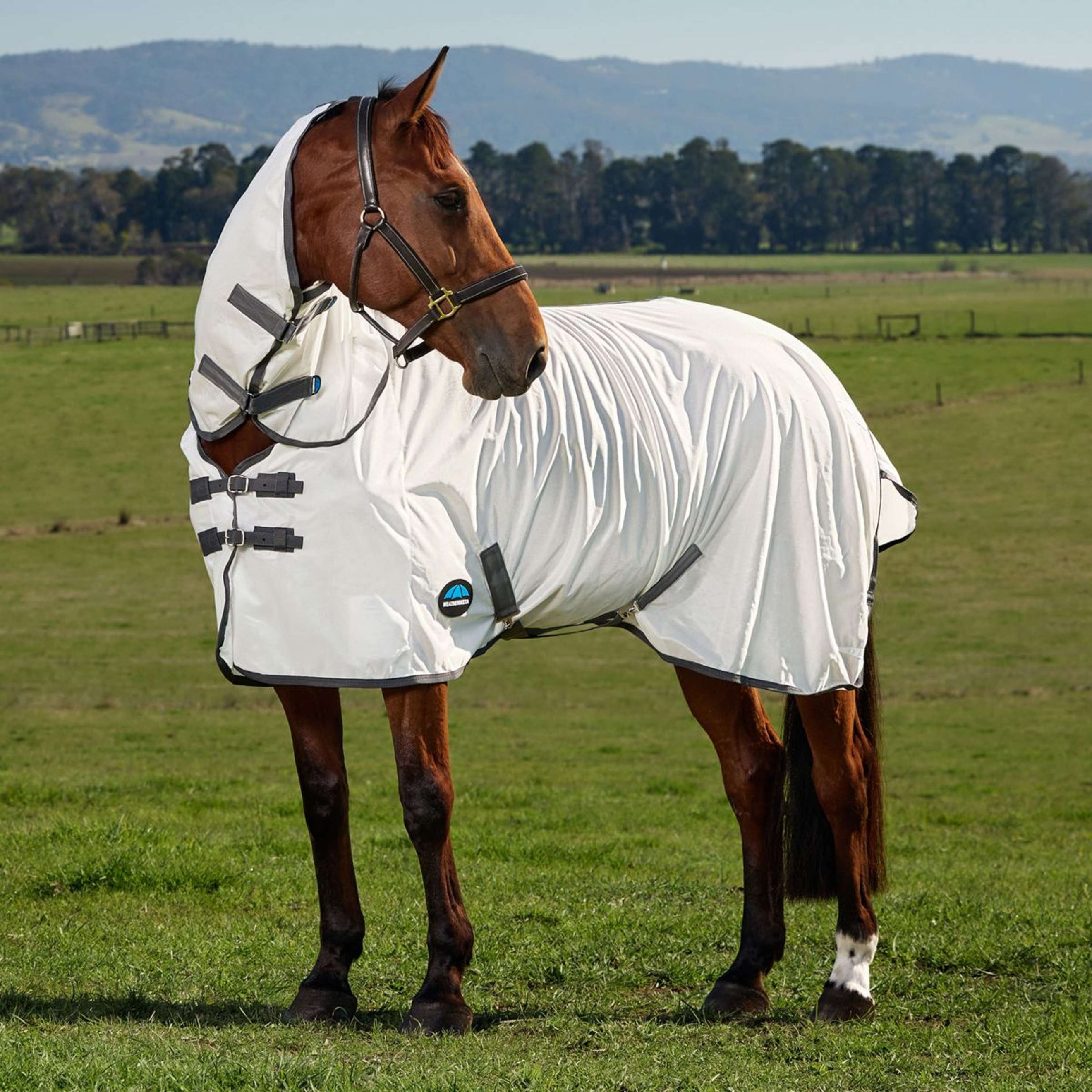 WeatherBeeta Couverture Anti-Mouches ComFiTec Tyro Combo Blanc/Charcoal WeatherBeeta Couverture Anti-Mouches ComFiTec Tyro Combo Blanc/Charcoal