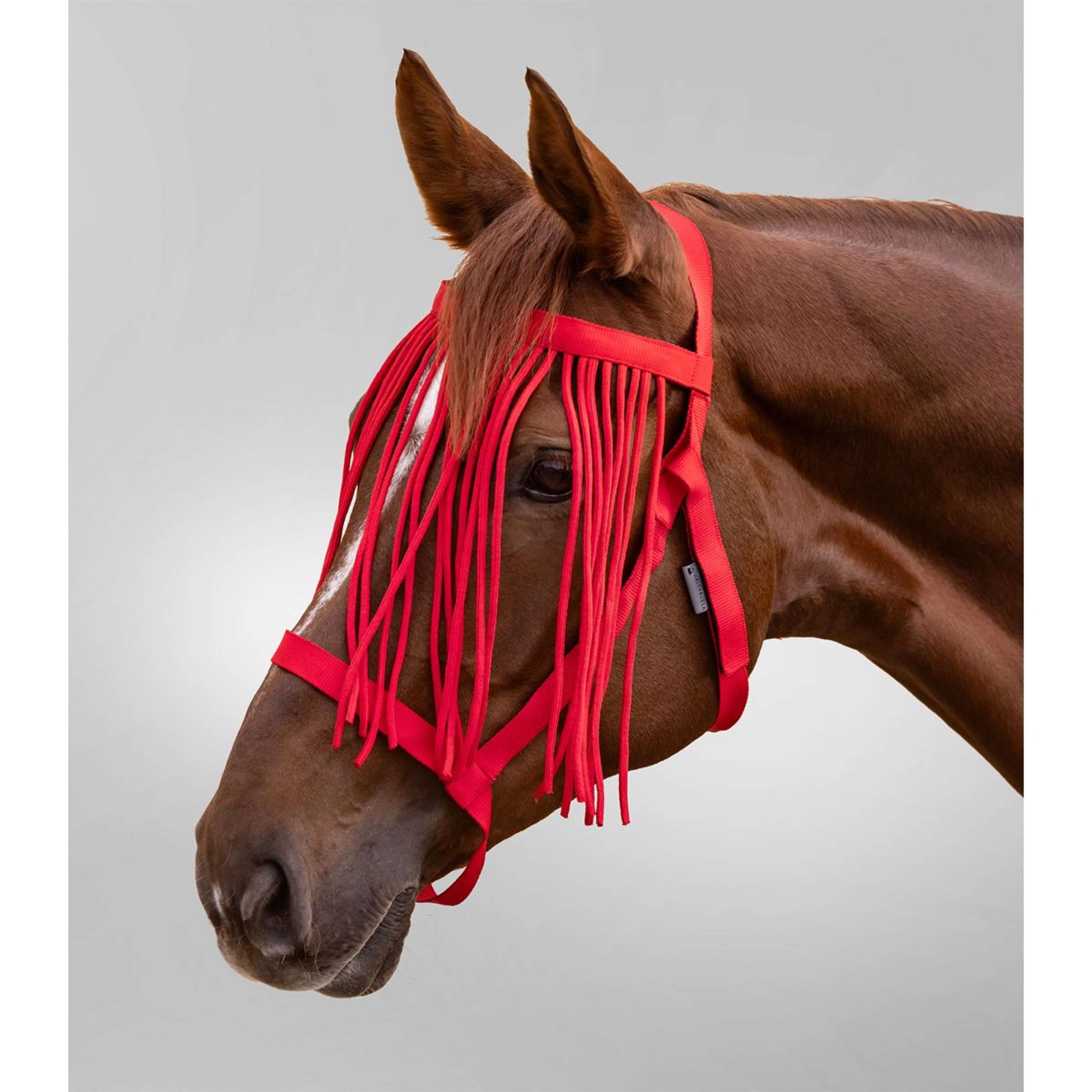 Waldhausen Licol Grazing avec Frange Rouge Waldhausen Licol Grazing avec Frange Rouge