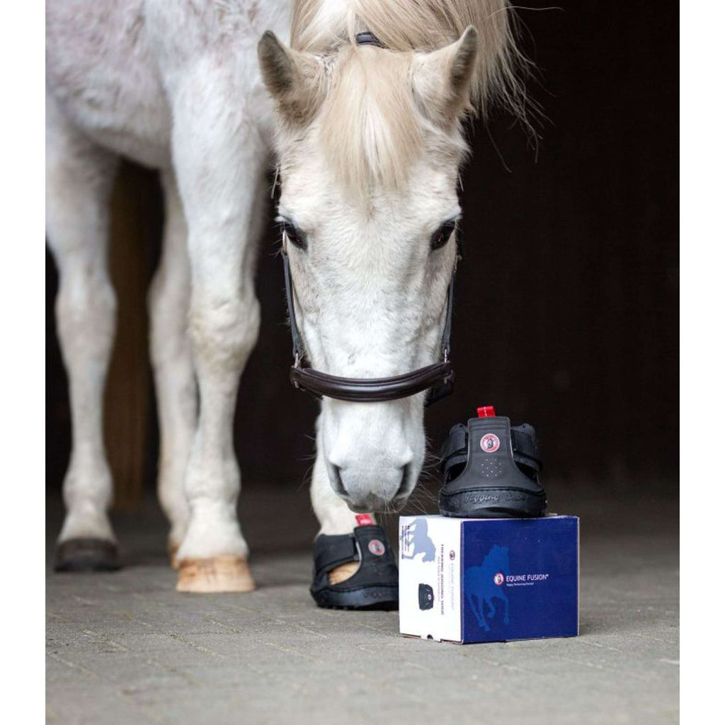 Equine Fusion Hipposandale Trekking Noir