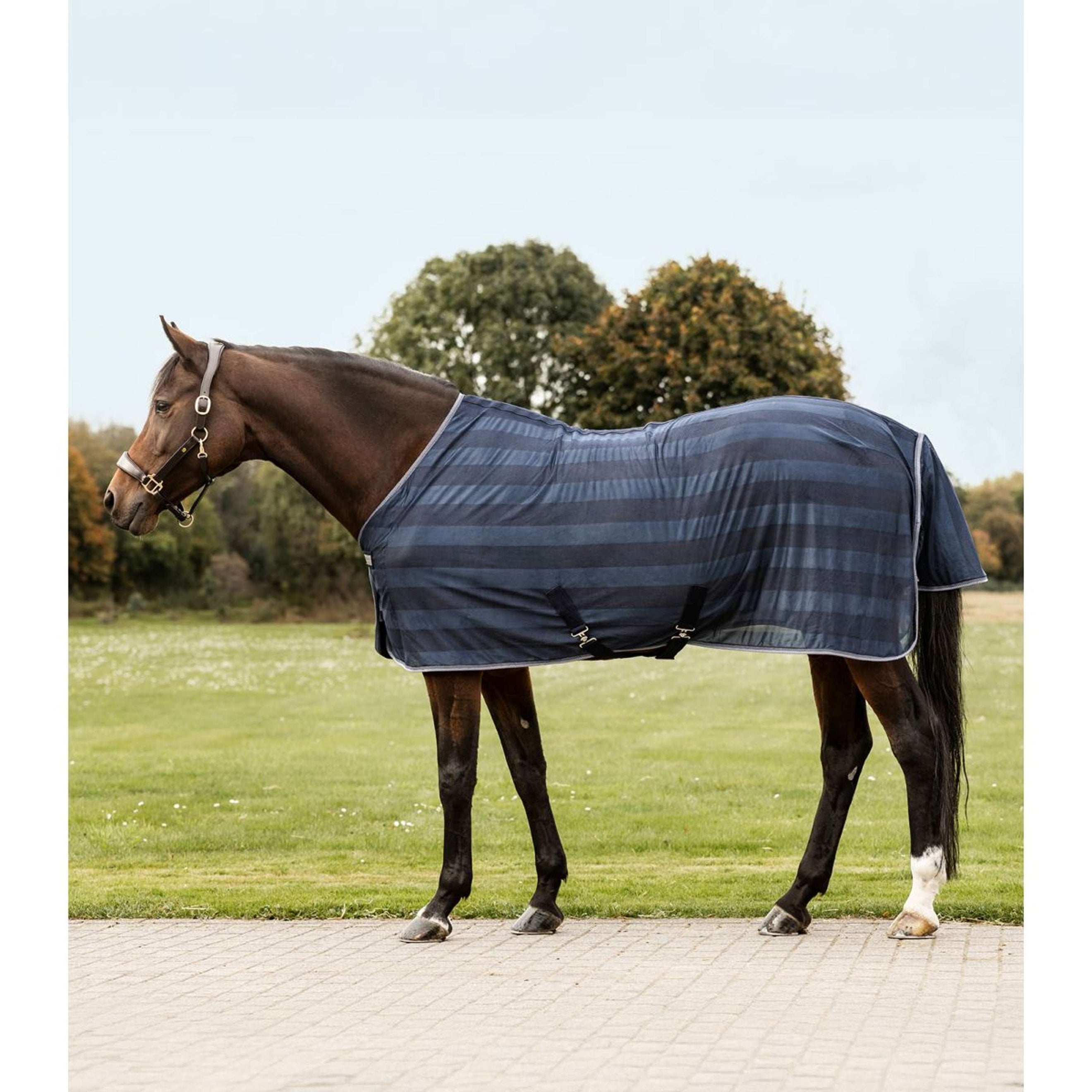 Waldhausen Couverture Anti-Mouches Economic 2.0 Bleu Nuit Waldhausen Couverture Anti-Mouches Economic 2.0 Bleu Nuit