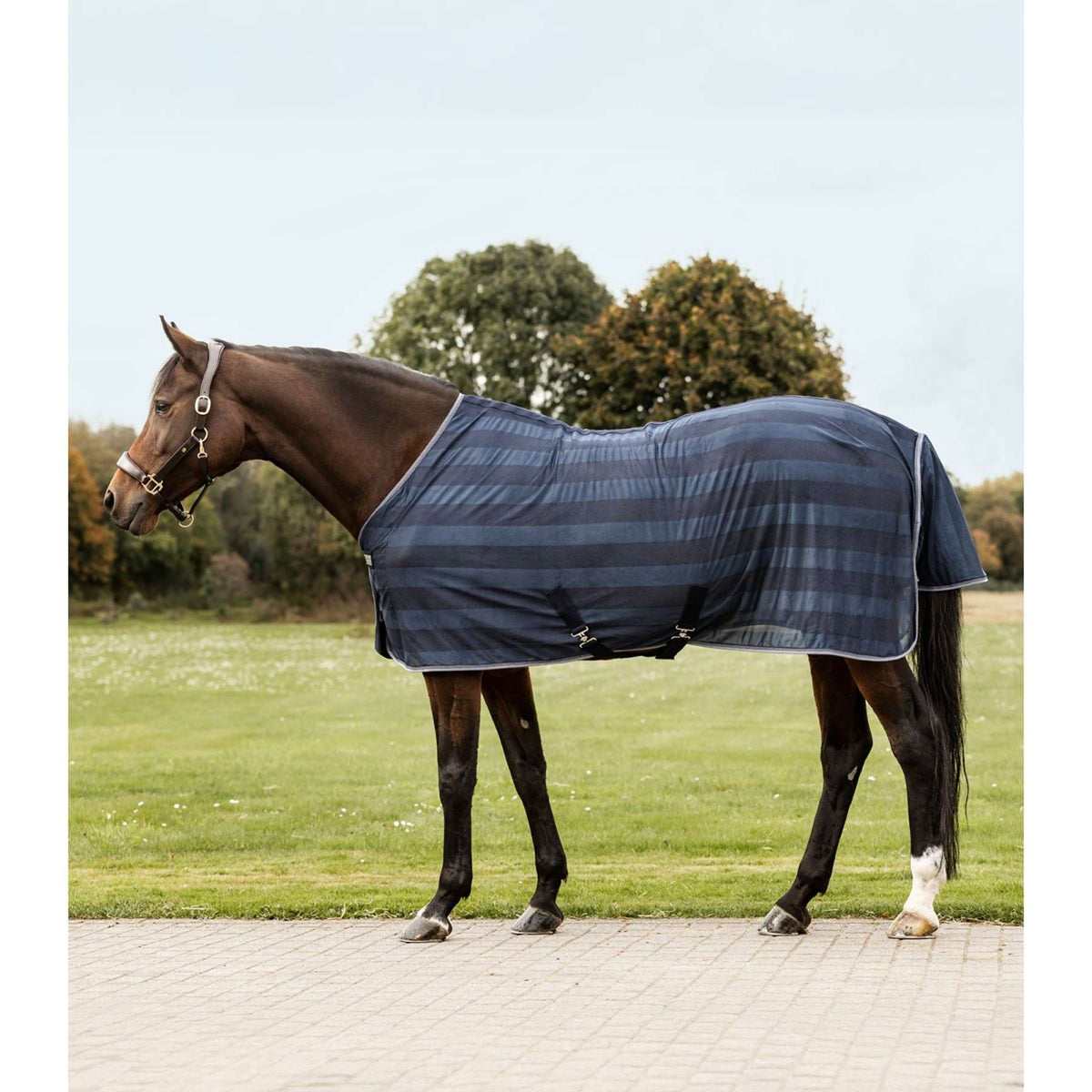 Waldhausen Couverture Anti-Mouches Economic 2.0 Bleu Nuit