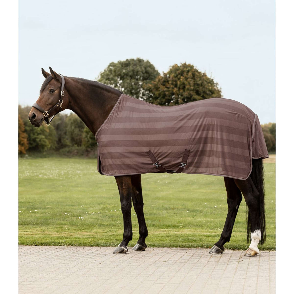 Waldhausen Couverture Anti-Mouches Economic 2.0 Mocca